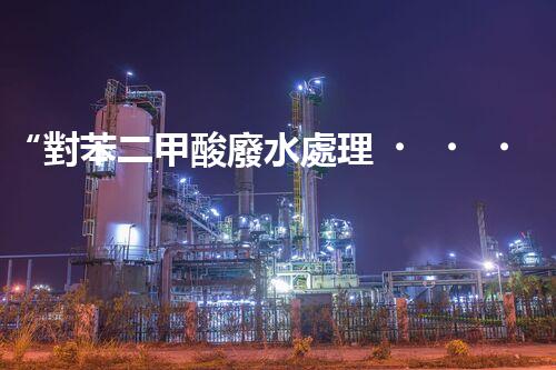 “對苯二甲酸廢水處理，綠色創(chuàng)新引領環(huán)保新篇章”